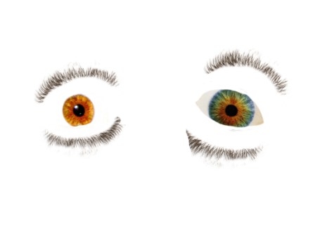 Creation of Eye Pods: Step 2